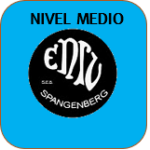 RESULTADOS DE LOS EXÁMENES DE INGRESO – NIVEL MEDIO 2026