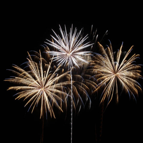 ¡HASTA EL AÑO QUE VIENE!